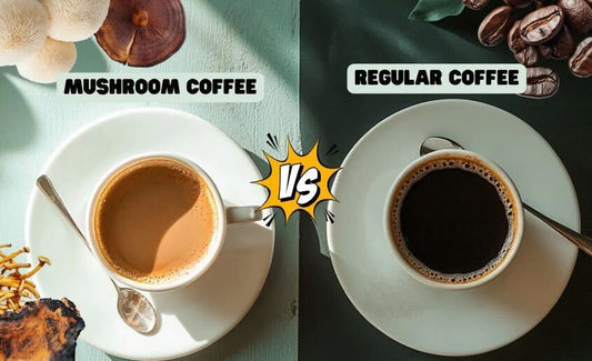 Mushroom Coffee vs. Regular Coffee:Why It’s Time to Swap Your Regular Cup