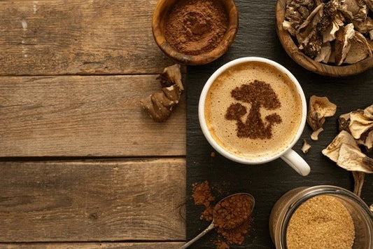 What is Alpha-GPC:A Powerful Pair for Boosting Brain Power