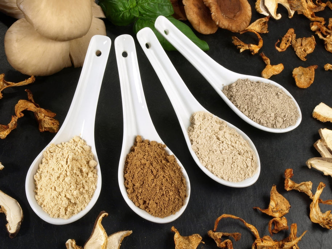 Top Brands: Mushroom Coffee to Buy in 2025