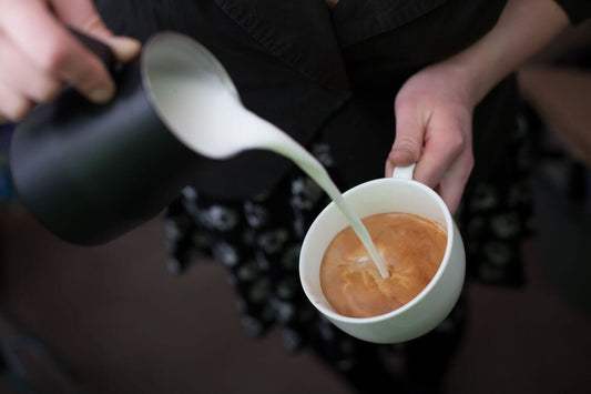 How to Make the Perfect Mushroom Coffee at Home (Barista-Style) Using NOOM Mushroom Coffee