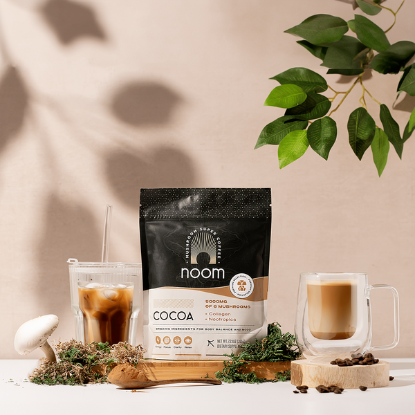 Nootropic Coffee | Focus, Energy & Clarity with Lion's Mane
